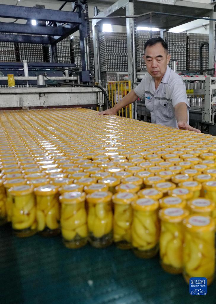 js金沙苹果下载